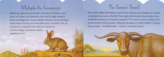 Heifer International gives the gift of livestock to those in need.